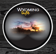 Wyoming Life: Bull Elk Sticker